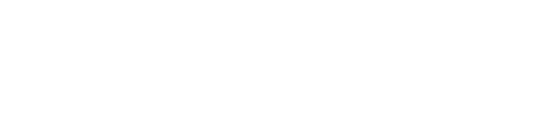 סאלוף ובניו לוגו